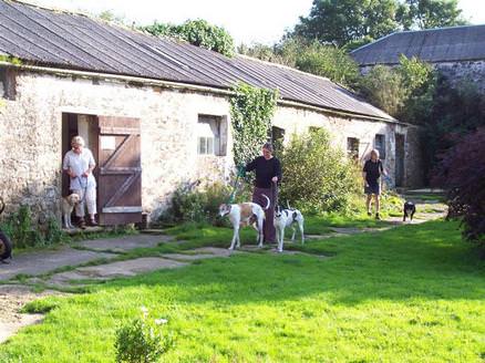 Barnlake House - Kennels - Exercise time