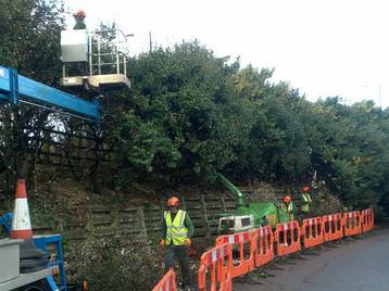 Hedge work - M4 Magor Services