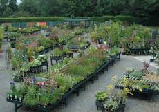 Burstow Nurseries & Garden Centre, Horley