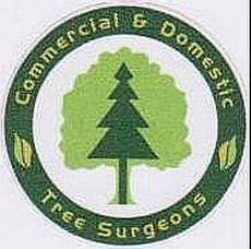 Commercial & Domestic Tree Surgeons, Scarborough