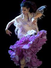 Academia Flamenca, Brighton and Hove