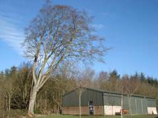 The Skye Man Tree Services, Linlithgow
