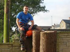 Arborcure Tree Services, Plymouth