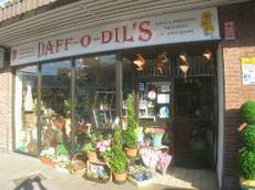 Daff-o-Dil's, Exmouth