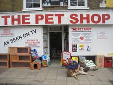 The Pet Shop, March, March