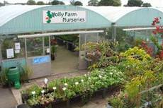 Holly Farm Nurseries, Whitchurch